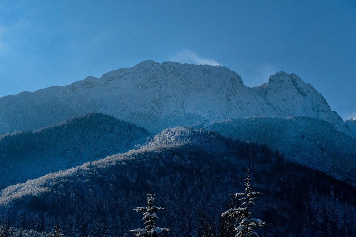 Widok 3